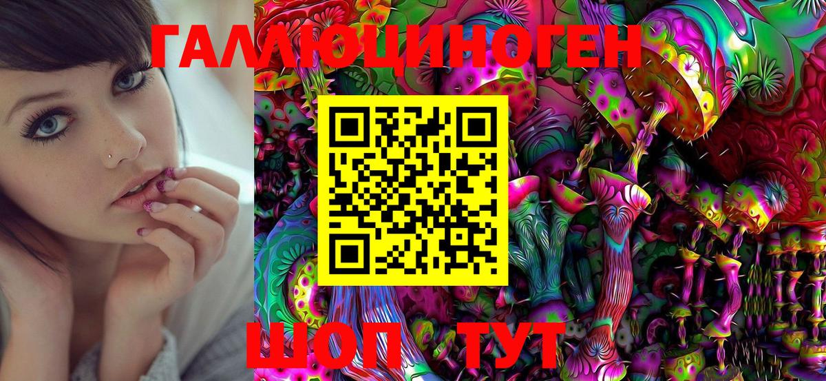 Галлюциногенные грибы Psilocybe  наркошоп  Вход с VPN  Гурьевск  Галлюциногенные грибы Cubensis 