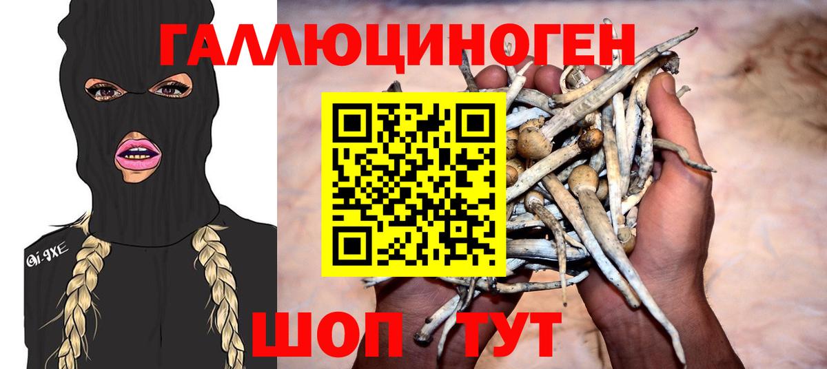 Псилоцибиновые грибы GOLDEN TEACHER Гурьевск
